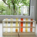 Urinefunctie-diagnose